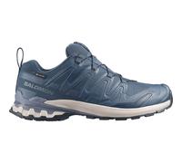 Salomon Xa Pro 3d V9 Gore-tex® Trail Running Shoes Bleu EU 48 Homme