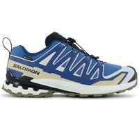 Salomon Chaussures XA PRO 3D v9 GORE-TEX bleu doré Taille 46(2/3)