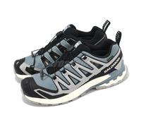 Salomon XA PRO 3D V9 GTX Gore-Tex Flint Stone Ghost Grey Men Outdoors L47270600