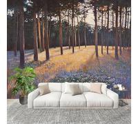 Salon Chambre Murale Photo LumièRe Et Ombre Du CréPuscule De La ForêT Papier Peint Intissé Résistant à l’humidité Murale Vert Pour Décoration Murale Moderne Poster Tableaux Photo Muraux 250x175 cm