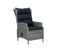 Vidaxl Mobilier À Dîner 9 Pcs Avec Coussins Résine Tressée Gris Clair