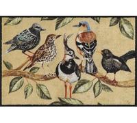 Salonloewe Bird Song I Paillasson lavable en 50 x 75 cm avec motif oiseaux chantants I Tapis de propreté & paillasson pour l'intérieur