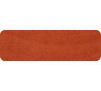 Salonloewe Cayenne Paillasson lavable 30 x 100 cm Paillasson d'extérieur Motif