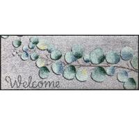 Salonloewe Eucalyptus Welcome Paillasson pour intérieur et extérieur Lavable 030 x 075 cm
