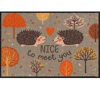 Salonloewe Paillasson et tapis d'entrée Forest Date - Lavable - 50 x 75 cm - Pour l'intérieur et l'entrée - Avec motif hérisson