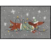 Salonloewe Paillasson Jingle Dog - Paillasson lavable et antidérapant - 100 % sans PVC - Pour l'intérieur et l'extérieur - 30 x 75 cm