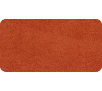 Salonloewe Paillasson lavable Cayenne 30 x 60 cm