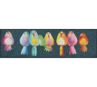 Salonloewe Paillasson Rainbow Birds 030 x 100 cm Parking à chaussures