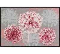Salonloewe Pusterella Tapis de salon, 50 x 75 cm, lavable et passe au sèche-linge, paillasson, gris rose, en caoutchouc et polyamide