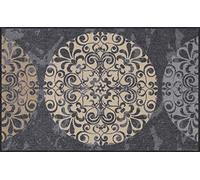 Salonloewe Tapis de sol lavable pour porte, Polyamide, coloré, 75 x 120 cm