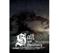Salt and Sanctuary Steam Key GLOBAL