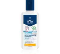 Salt House Dead Sea Therapy Anti-dandruff Shampoo shampoing antipelliculaire 250 ml