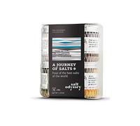 Salt Odyssey Coffret Sels du Monde - 4 x 80 g | Fumé | Fleur de Sel | Curcuma, moutarde, curry & sumac | Origan, sésame, thym & menthe verte