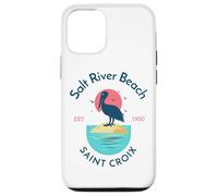 Salt River Beach Sainte-Croix Coque pour iPhone 12/12 Pro
