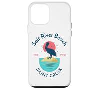 Salt River Beach Sainte-Croix Coque pour iPhone 12 Mini