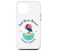 Salt River Beach Sainte-Croix Coque pour iPhone 12 Pro Max
