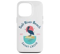 Salt River Beach Sainte-Croix Coque pour iPhone 13 Pro