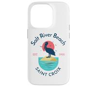 Salt River Beach Sainte-Croix Coque pour iPhone 14 Pro