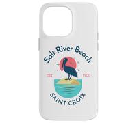 Salt River Beach Sainte-Croix Coque pour iPhone 14 Pro Max