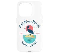 Salt River Beach Sainte-Croix Coque pour iPhone 15 Pro