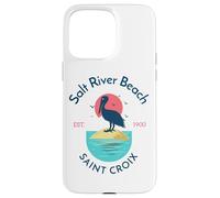 Salt River Beach Sainte-Croix Coque pour iPhone 15 Pro Max