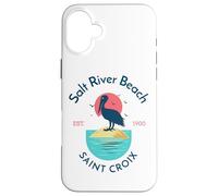 Salt River Beach Sainte-Croix Coque pour iPhone 16 Plus