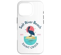 Salt River Beach Sainte-Croix Coque pour iPhone 16 Pro