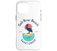 Salt River Beach Sainte-Croix Coque pour iPhone 16 Pro Max