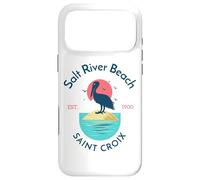 Salt River Beach Sainte-Croix Coque pour iPhone 17 Pro Max