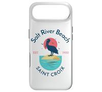 Salt River Beach Sainte-Croix Coque pour iPhone Air