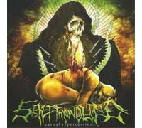 Salt The Wound Carnal Repercussions (CD) Album