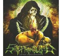 Salt the Wound – Carnal Repercussions – CD