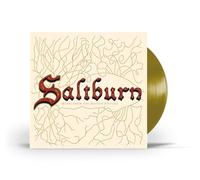 Various Artists – Saltburn (Original Motion Picture Soundtrack) – Vinyle