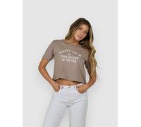 Salty Crew Even Keel Crop Short Sleeve T-shirt Marron S Femme