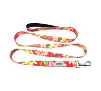 Salty Paws Laisse résistante pour chien avec poignée rembourrée pour chiens de petite, moyenne et grande taille Taille S 1,8 m pour chiens jusqu'à 11,3 kg Motif floral Rose