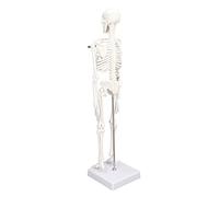 Saluaqui 45 Cm Mini Modèle de Squelette Humain PVC avec Articulations et Supports Mobiles - Structure Osseuse Humaine Détaillée pour Les étudiants en Médecine, Les Chiropraticiens et l'affichage
