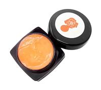 Saluaqui Gel Vernis 3D Sculpté 12 Couleurs Art Sculptant (02)