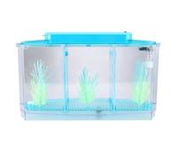 Saluaqui Mini Un Aquarium LED Acrylique Trois Divisions Boîte d'isolement Reproducteur pour Les Petits Poissons avec Une Lumière Réglable - Violet (Blue)