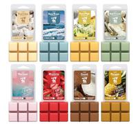 Salubrito Summer - Coffret cadeau de cubes de cire de soja parfumés, coton frais, brise océan, mojito, île rose, noix de coco, ananas, crème vanille, fraise, 20,3 x 7,5 g