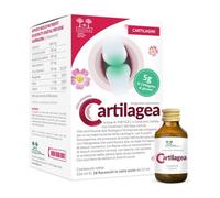 Salugea Cartilagea 18x12ml