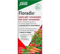 Salus Floradix Comprimés De Fer En Cas De Fatigue 84 Comprimés