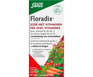 Salus Floradix Comprimés De Fer En Cas De Fatigue 84 Comprimés
