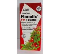 Salus Floradix Comprimés De Fer En Cas De Fatigue 84 Pièces