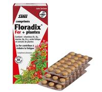 Salus Floradix Comprimés De Fer En Cas De Fatigue 84 Pièces