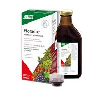 Salus Floradix Fer+Plantes Formule Liquide Réduit la Fatigue 500 ml