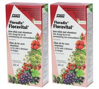 Salus Floradix® Floravital Solution(S) 2x500 ml