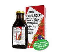 Salus Floradix Linfa D'Erbe Complément Alimentaire Riche En Ferro 250