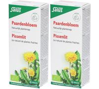 Salus Jus Pissenlit Bio 2x200 ml