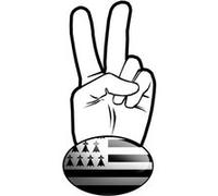 Salut de motard breton (15x7.2cm) - Sticker/autocollant G