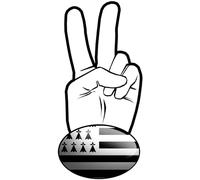 salut de motard breton (5x2.5cm) - Sticker/autocollant